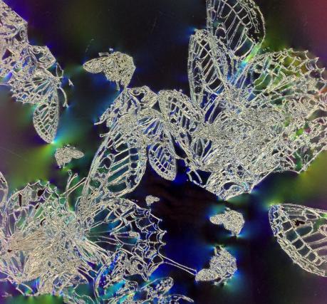 Resonance Quantum Painting 2013 60x60x3cm Resonance Quantum Painting 2013 60x60x3cm