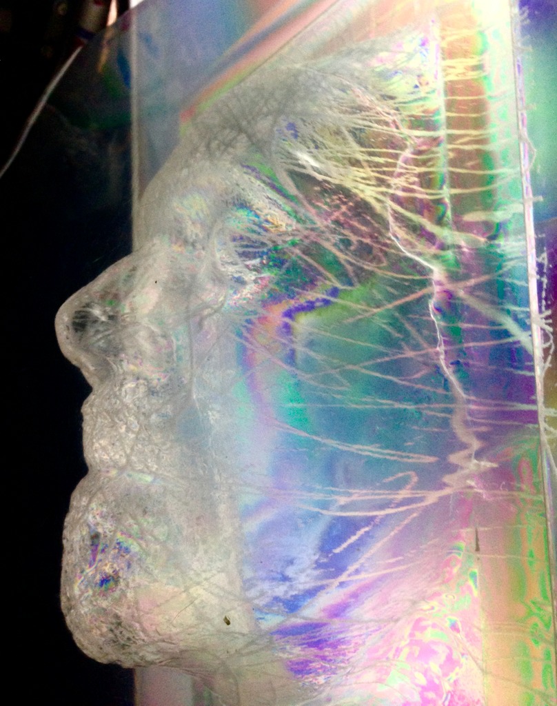 Solar Flare- A portrait in Renewables energy of Solar Polar CEO Dr. Robert Edwards