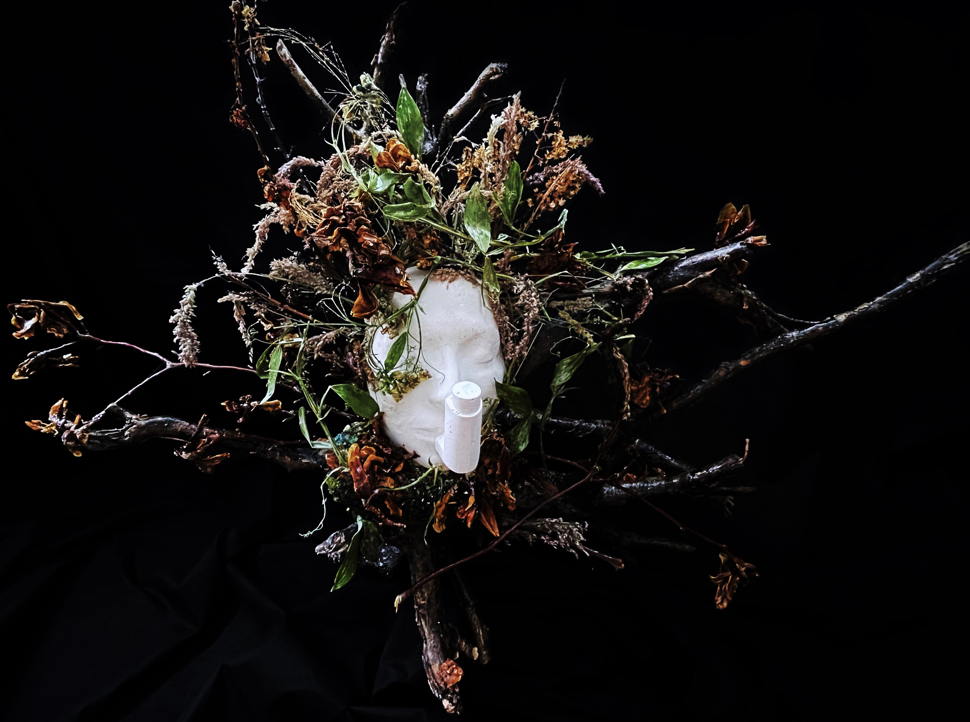 Chaos 2022 Pollution Absorbing NOXORB,lichen, wood ,resin , grass