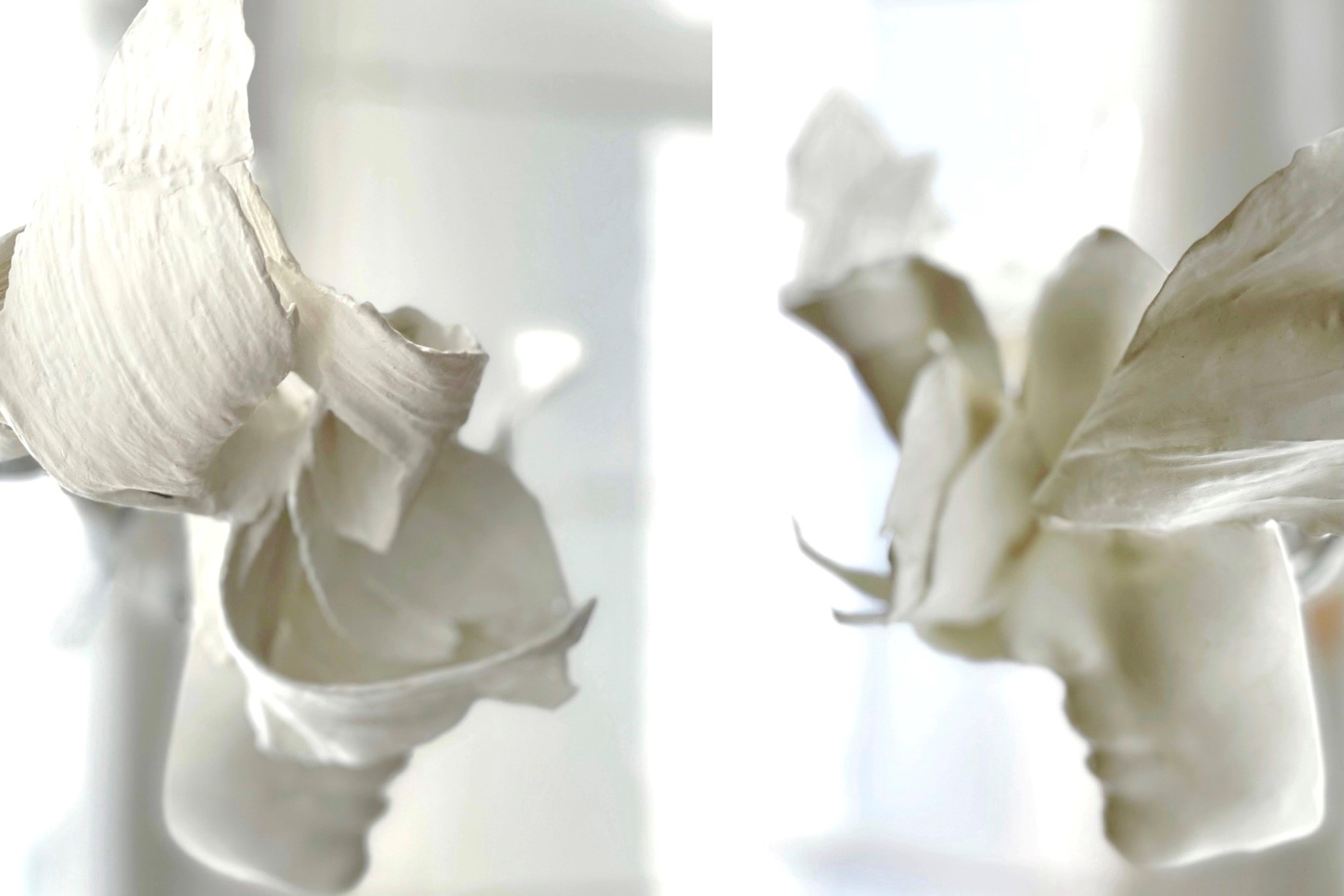 Persephone 2022 Pollution Absorbing Cermic NOXORB and Corn Leaves Persephone 2022 Pollution Absorbing Ceramic NOXORB and Corn Leaves